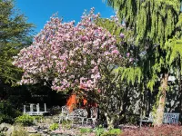 Newer Nifty Fifties large 2 bedroom with hot tub and putting green! Hotels near Alex Fraser Brg