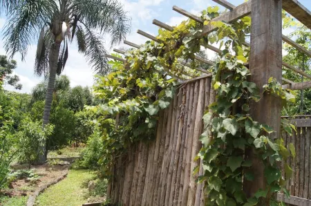Site on the edge of the dam - Ibiuna -Piedade SP