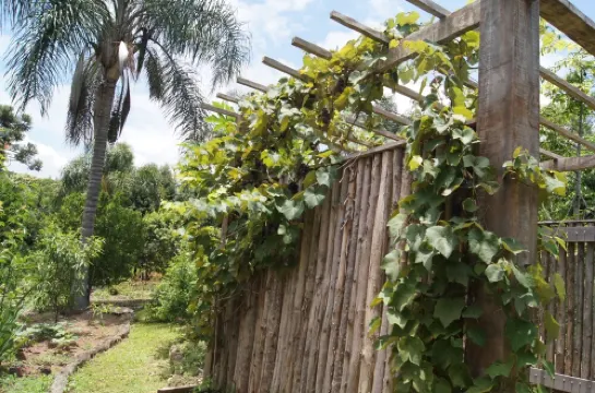 Site on the edge of the dam - Ibiuna -Piedade SP