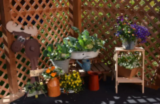 Alaska's Lake Lucille Bed & Breakfast