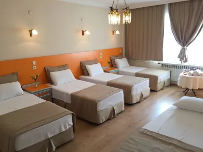 Ayvazali Hotel Hotels near The Pergamon Museum