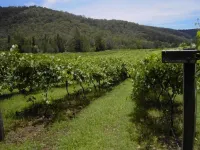 Cedar Creek Cottages Hotel a Millfield