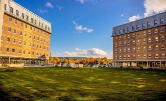 Memorial University