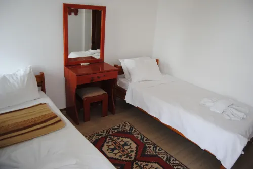 Hotel Hisarlık - ペット同伴可