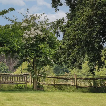 Spindlewood Cottage