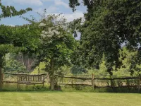Spindlewood Cottage - Wifi
