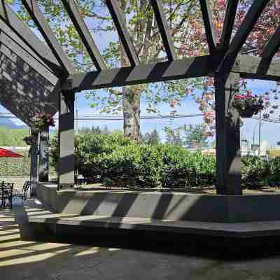 The Cedars Inn Hotel & Convention Centre Hotel Exterior