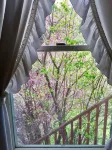 亞歷山大山林小屋賓館 - 山景