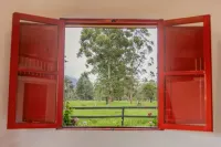 La Cabaña Ecohotel - Valle del Cocora - Mountain view