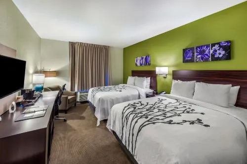 Sleep Inn & Suites Fort Worth - Fossil Creek - Wifi