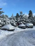 The Canyon Motel & RV Park - Motels