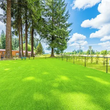 Rainforest Tiny Home Retreat: Woodsy