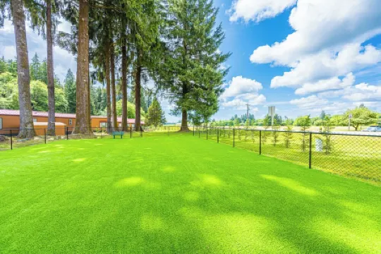 Rainforest Tiny Home Retreat #22 Nordic