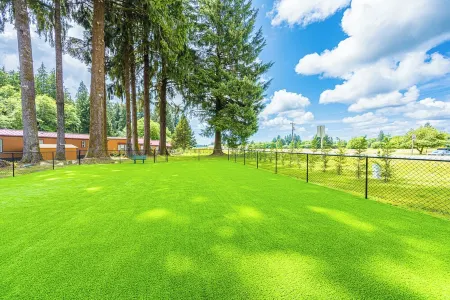 Rainforest Tiny Home Retreat #30 Отели рядом с достопримечательностью «Парк Тилликум»