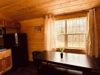Green Cabin in Surry close to Acadia and Bar Harbor Hotels in Surry