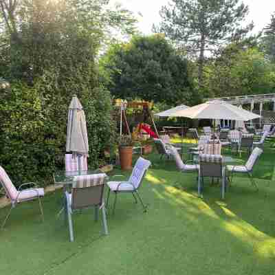 Hotel Palace del Conero Hotel Exterior