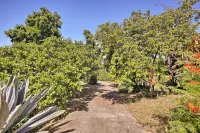 St Croix Home w/ Caribbean Views - 1 Mi to Beach - 3-stjärniga