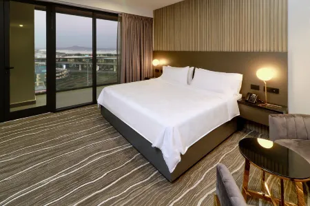 Holiday Inn and Suites Mexico Felipe Angeles Airport