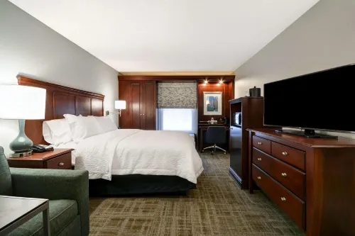 Hampton Inn Detroit/Northville (Farmington Hills Area) - Swimmingpools