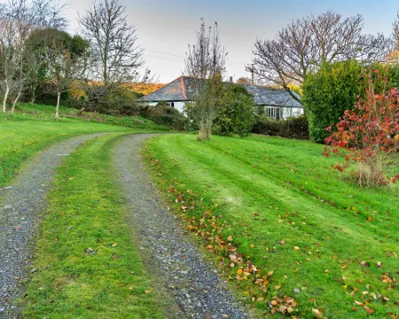 Jenny Wren Hotels in Boscastle