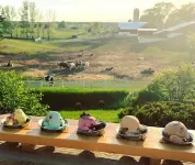 28 North Extended Stay Suites!! pickleball, hot tubs and game room + pool tables