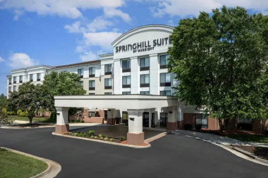 SpringHill Suites Lynchburg Airport/University Area Hoteles en Condado de Campbell