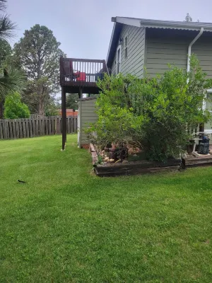 Beautiful & Comfy CABIN Retreat with abundant wildlife, WIFI and AC