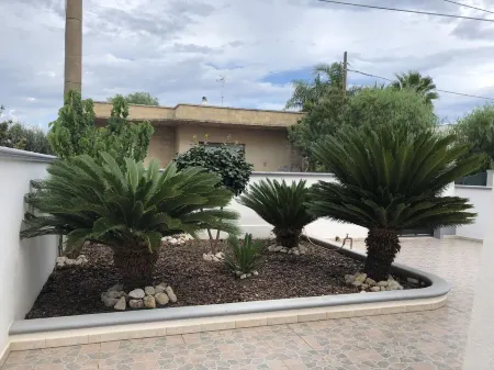 STAR HOUSE cottage with large outdoor spaces