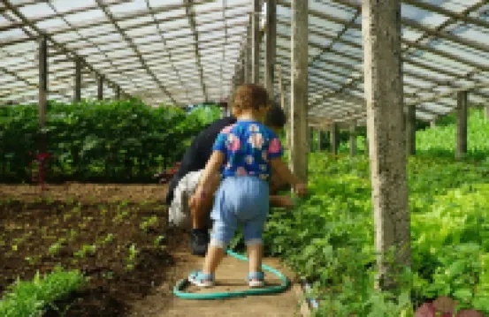 Peaceful Organic Farmhouse Retreat with Stunning Views