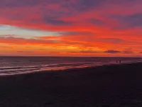 Family-friendly beachfront condo with pool and private lanai