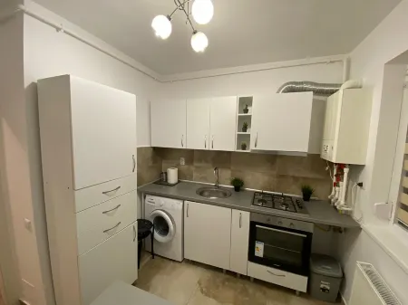 Conffortable studio cozy type Отели в г. Chiajna