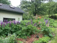 Charming 2-bedroom house  with WiFi outside Fleischmanns, NY Hotels in Halcott