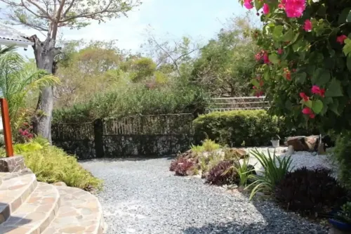 Large calm house surrounded by nature