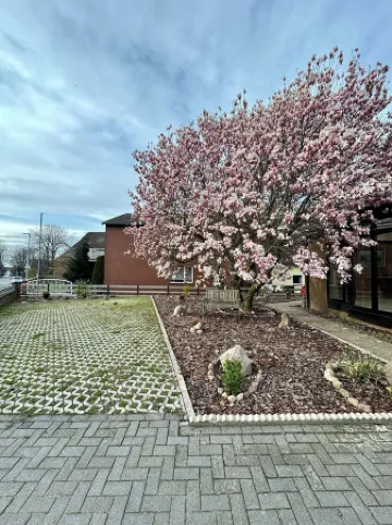 Studio apartment in the heart of Steinhude, quiet location, 5 min. to the sea