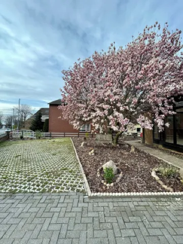 Studio apartment in the heart of Steinhude, quiet location, 5 min. to the sea