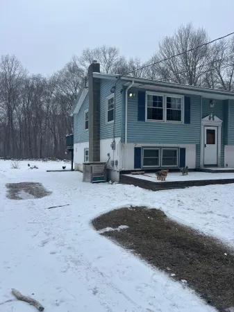 Dog lover’s retreat with acres to roam, farm animals, and plenty to explore!