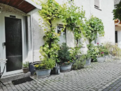 Hotel Meuser Hotels near Biebrich Palace