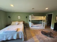 Big Pines Cabin: A Waterfront Retreat with Private Dock Hotels in Belgrade