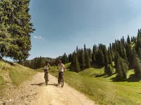 Apartment with balcony in Chatel