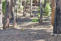 Decks, Grills and Fire Pit Camp Connell Hideaway! - spa
