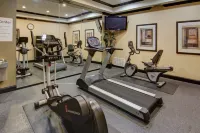 Holiday Inn Express & Suites PARIS by IHG - Gym