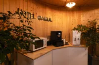 Seongnam Gaeul - 2-Star