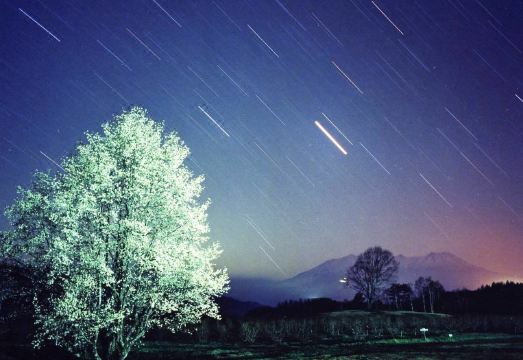 쁘띠 리조트 아피아의 평화로운 풍경