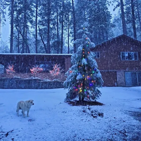 Mountain Meadow View Retreat