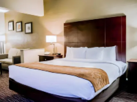 Comfort Suites Clearwater - Dunedin Hotels in Clearwater