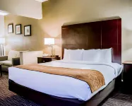 Comfort Suites Clearwater - Dunedin