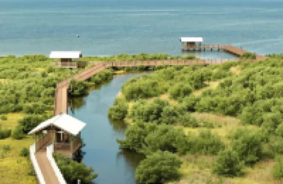 Modern Beachside Condo w Pool - South Padre Island