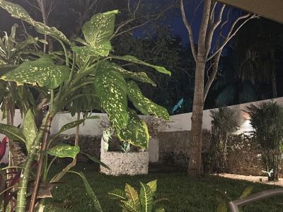 Casa Vacaional