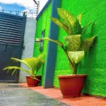 Deedee Luxury Apartments