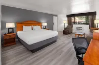 Baymont by Wyndham Durango - Motel